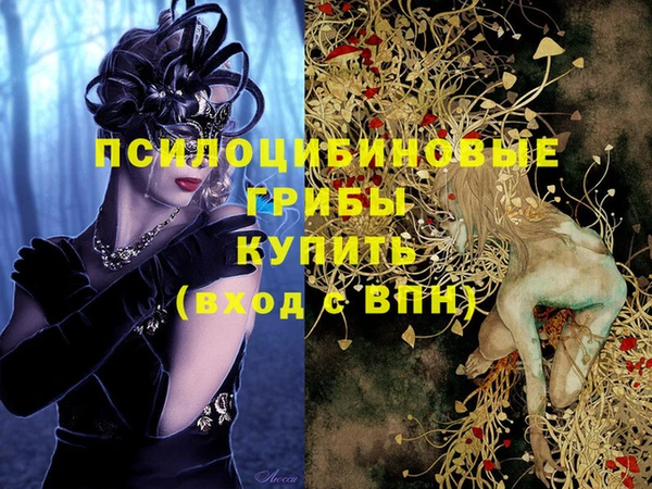 Альфа ПВП Саяногорск