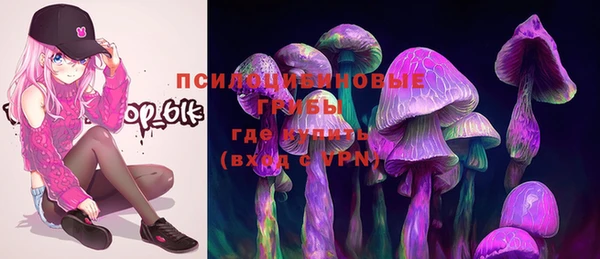 спайс Сатка