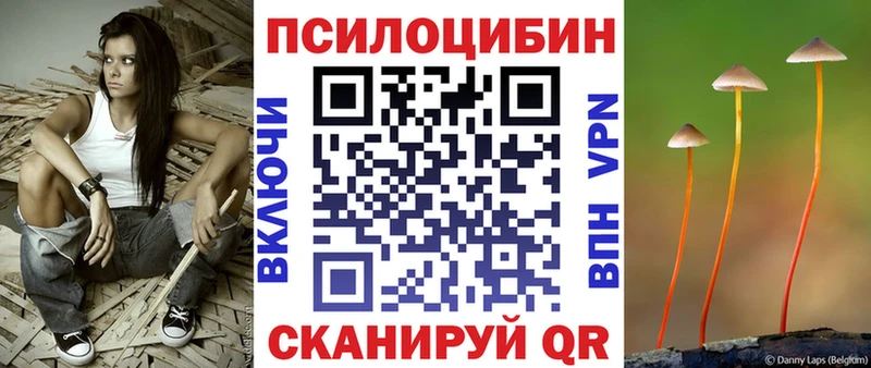 Купить  Сасово  Псилоцибиновые грибы Psilocybine cubensis 