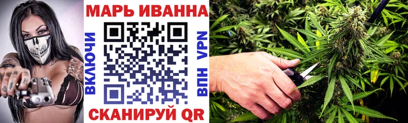Бошки Шишки семена  Купить закладки  Сасово 